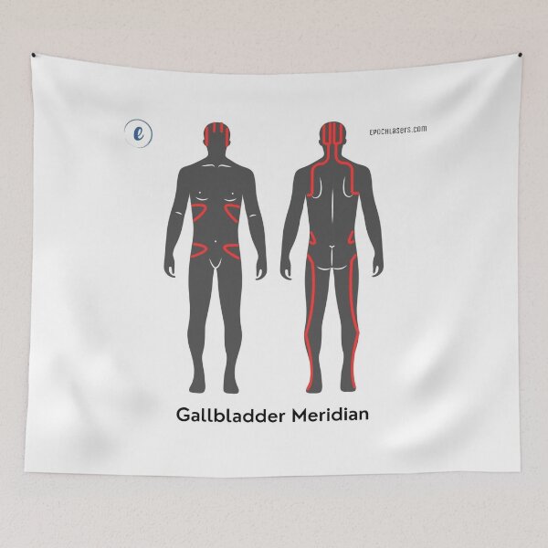 Item preview, Gallbladder Meridian Chart - Epoch® Lasers Holistic Approach  designed and sold by Epoch-Lasers.