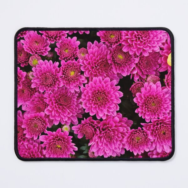 Item preview, Neon Chrysanthemums 1 designed and sold by nastiaart.