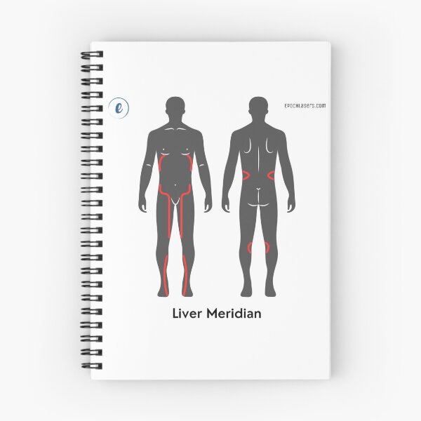 Item preview, Liver Meridian Chart - Epoch® Lasers Holistic Approach  designed and sold by Epoch-Lasers.