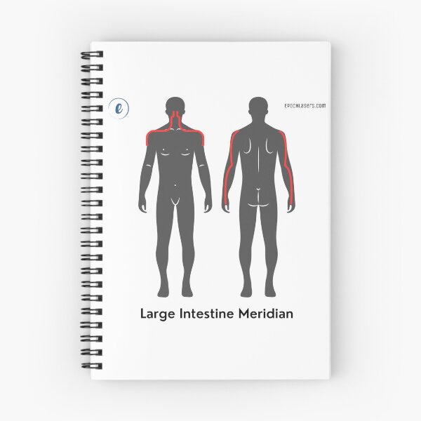 Item preview, Large Intestine Meridian Chart - Epoch® Lasers Holistic Approach  designed and sold by Epoch-Lasers.