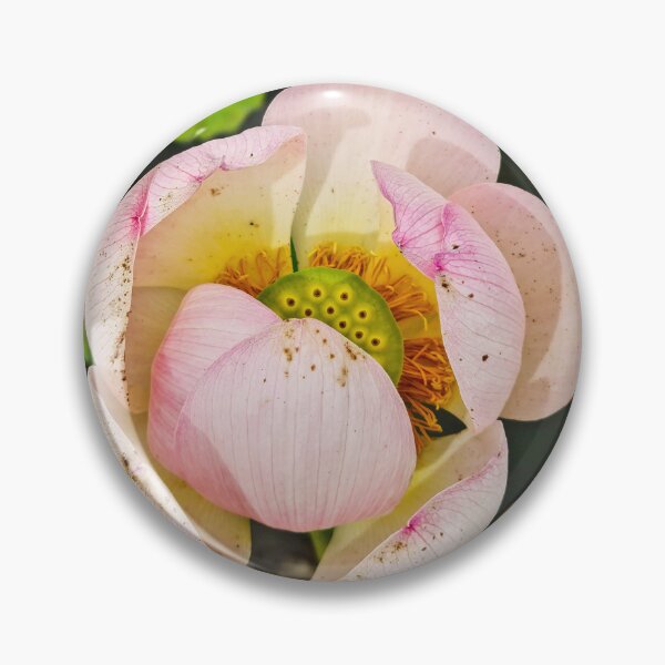 Item preview, Meise Park 7 designed and sold by nastiaart.