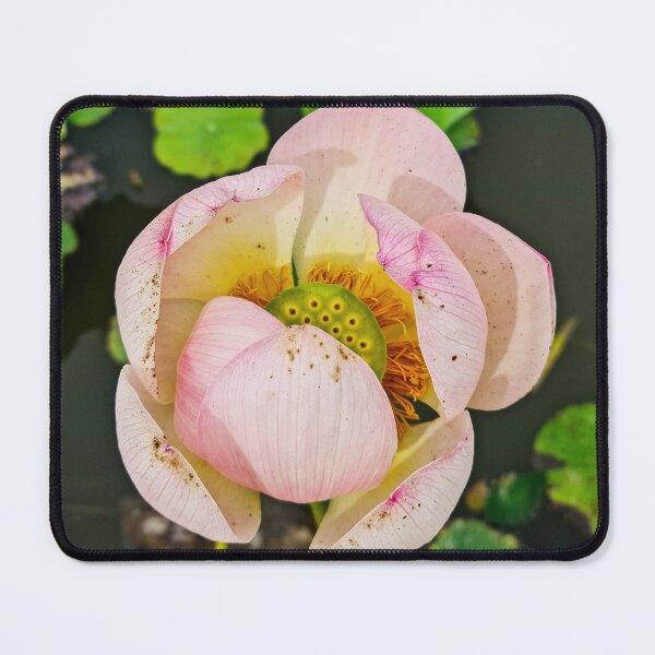 Item preview, Meise Park 7 designed and sold by nastiaart.