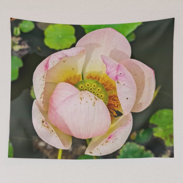 Item preview, Meise Park 7 designed and sold by nastiaart.