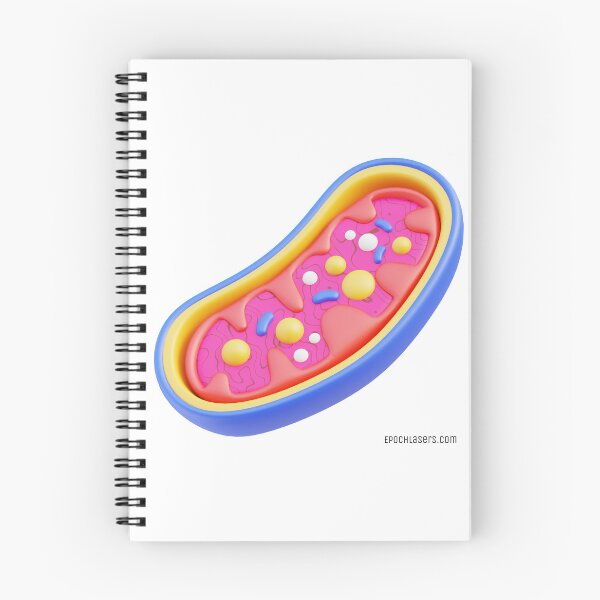 Item preview, Healthy Mitochondria from the Epoch Lasers Brochure (Photobiomodulation) designed and sold by Epoch-Lasers.
