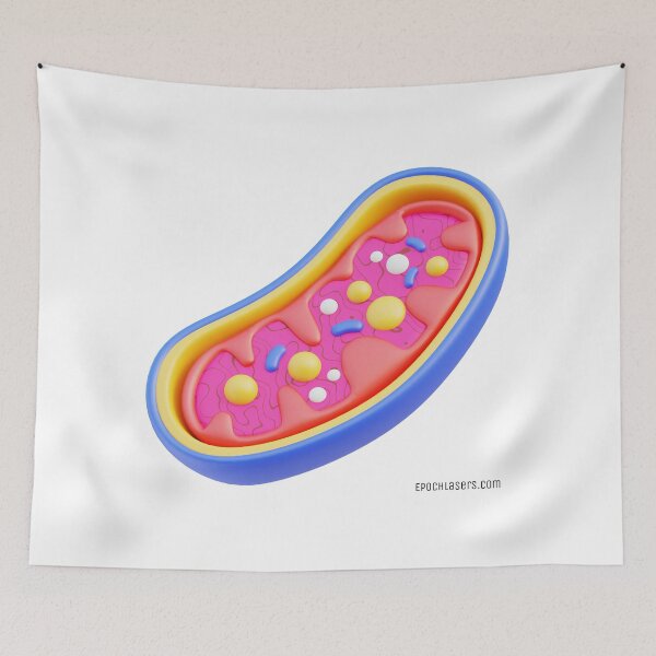 Item preview, Healthy Mitochondria from the Epoch Lasers Brochure (Photobiomodulation) designed and sold by Epoch-Lasers.