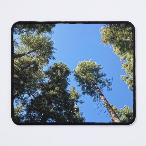 Item preview, Towering Trees designed and sold by Betsy Phillips.