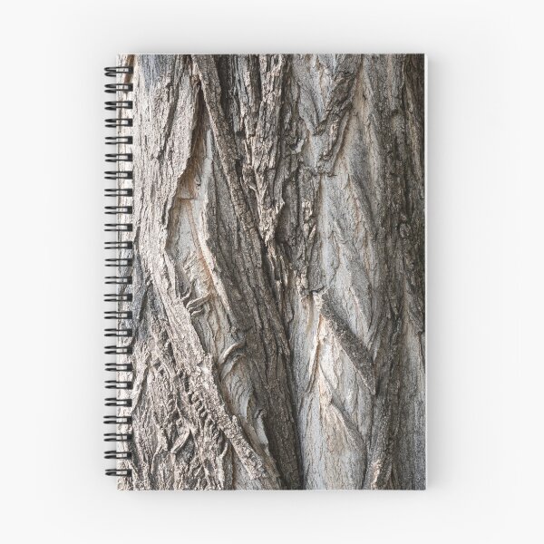 Item preview, Sculptural Tree Bark of Hundred Year Old Cottonwood designed and sold by Georgia Mizuleva.