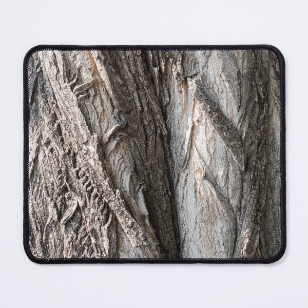 Item preview, Sculptural Tree Bark of Hundred Year Old Cottonwood designed and sold by Georgia Mizuleva.