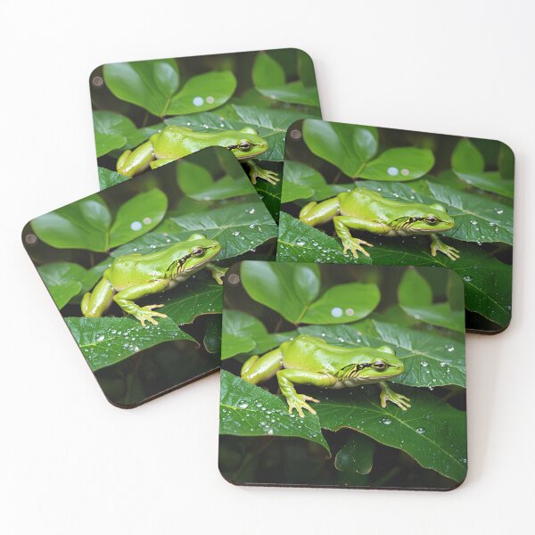 Item preview, Green Frog Resting on Wet Leaves designed and sold by SassyArtistry.