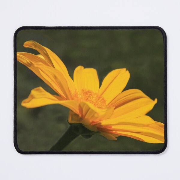Item preview, Full Bloom designed and sold by heatherfriedman.