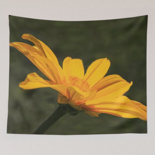 Item preview, Full Bloom designed and sold by heatherfriedman.