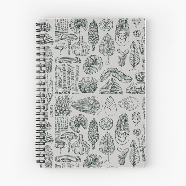 Item preview, Biota ediacárica designed and sold by maybeimmac.