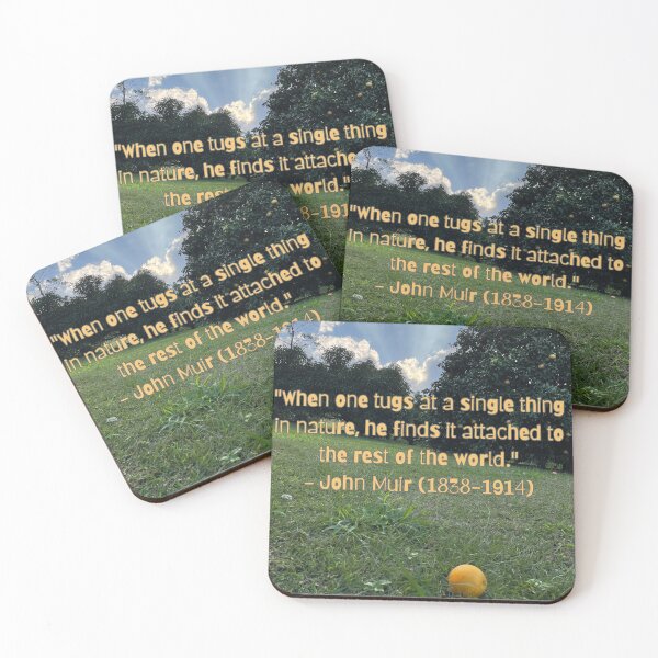 Item preview, “Tug at a Single Thing in Nature – John Muir Quote under Orange Trees” designed and sold by TrisaThyme.