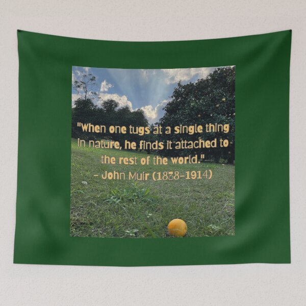 Item preview, “Tug at a Single Thing in Nature – John Muir Quote under Orange Trees” designed and sold by TrisaThyme.