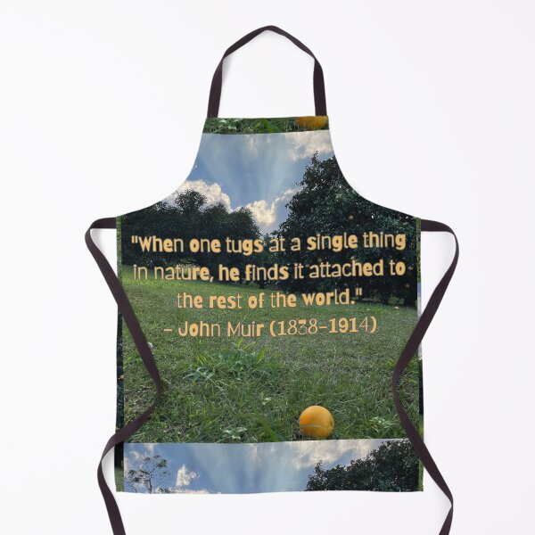 Item preview, “Tug at a Single Thing in Nature – John Muir Quote under Orange Trees” designed and sold by TrisaThyme.