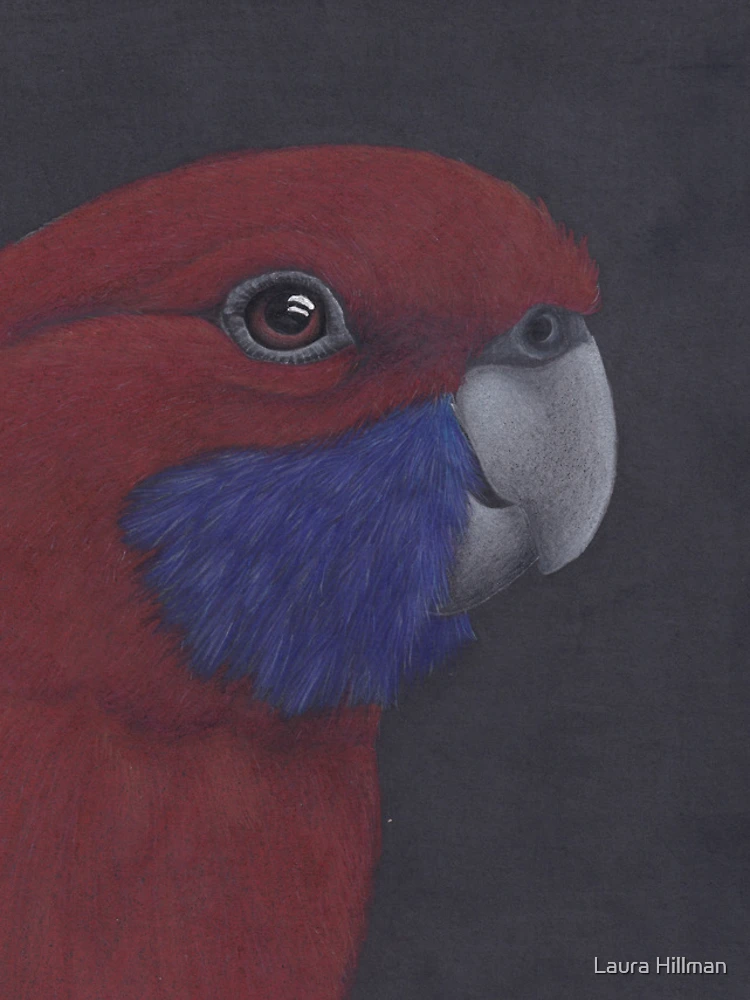 Thumbnail 4 of 4, iPhone Case, Rosella  designed and sold by Laura Hillman.