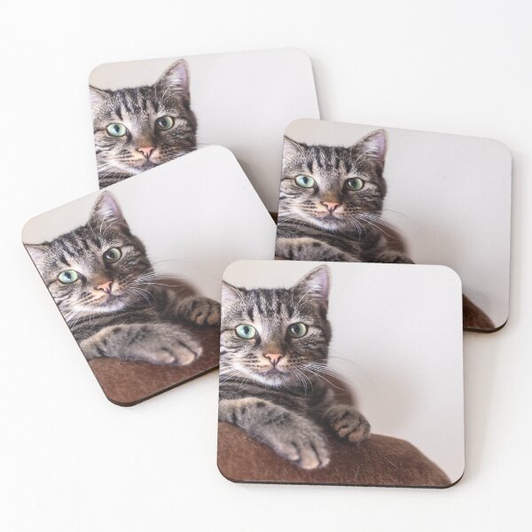 Item preview, Cat designed and sold by LatiendaShop.