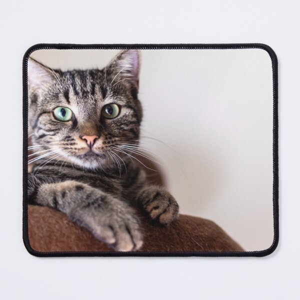 Item preview, Cat designed and sold by LatiendaShop.