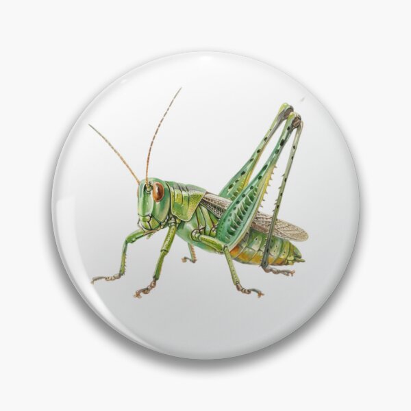 Item preview, Grasshopper designed and sold by Dianekelton.