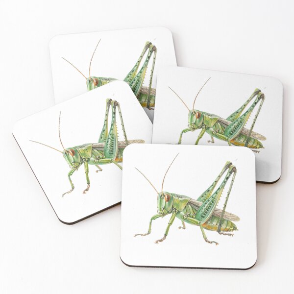 Item preview, Grasshopper designed and sold by Dianekelton.