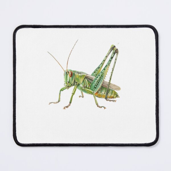Item preview, Grasshopper designed and sold by Dianekelton.