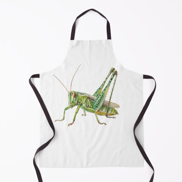Item preview, Grasshopper designed and sold by Dianekelton.