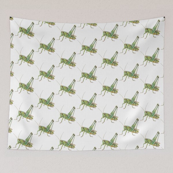 Item preview, Grasshopper designed and sold by Dianekelton.