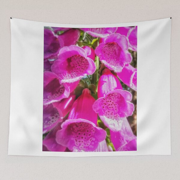 Item preview, Foxgloves designed and sold by Anthony Hedger Photography.