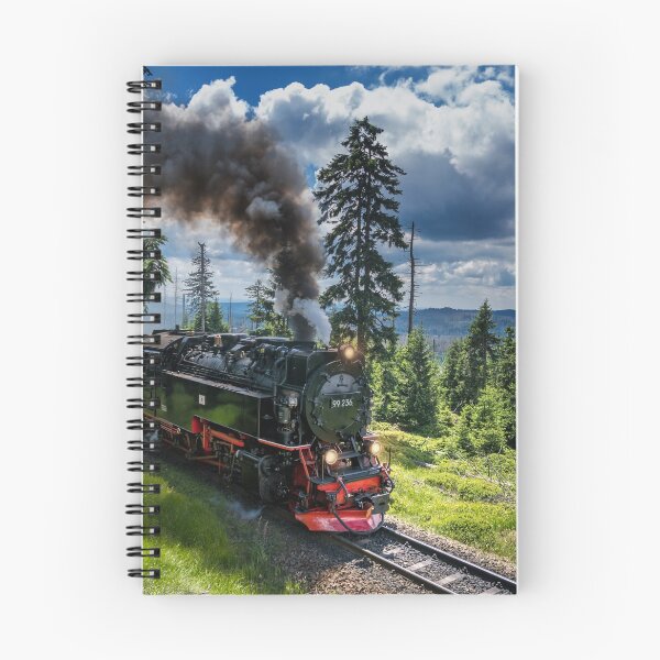 Item preview, Steam locomotive - Harz narrow gauge railways (Germany) designed and sold by Dagostino.