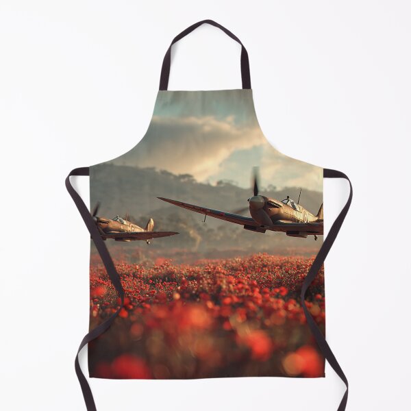 Item preview, Echoes of Valor designed and sold by Skyframe Aviation.