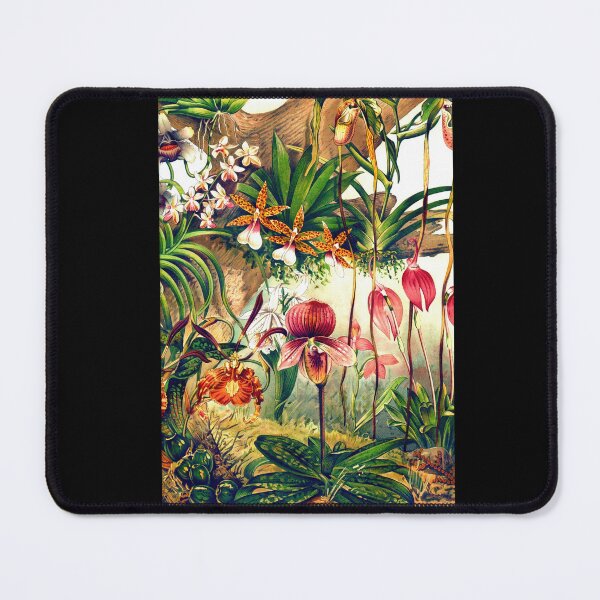 Item preview, Exquisite 19th Century Orchid Botanical Art Print | Scientific Realism | Vintage Watercolor Lithograph Poster designed and sold by artofuniverse.