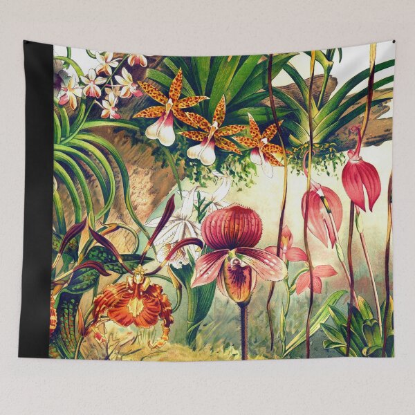 Item preview, Exquisite 19th Century Orchid Botanical Art Print | Scientific Realism | Vintage Watercolor Lithograph Poster designed and sold by artofuniverse.