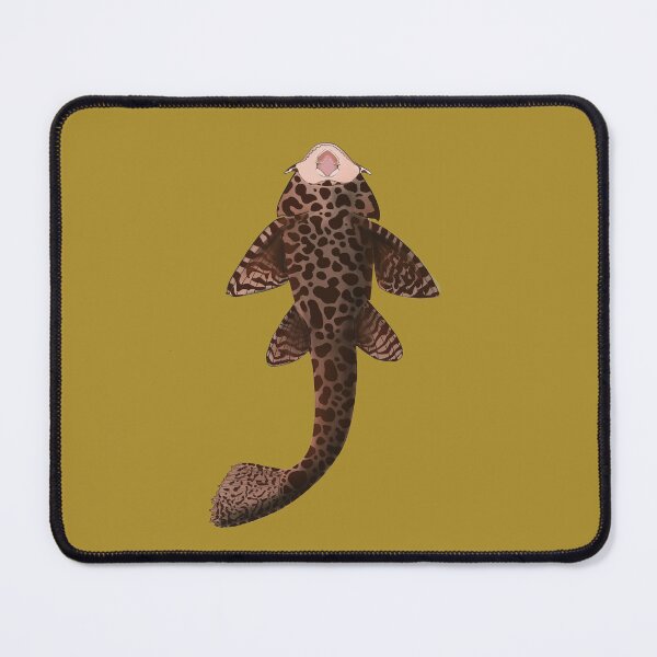 Item preview, Pleco designed and sold by LittleClayFrog.