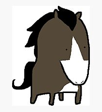 MSPaint Horse Photographic Print