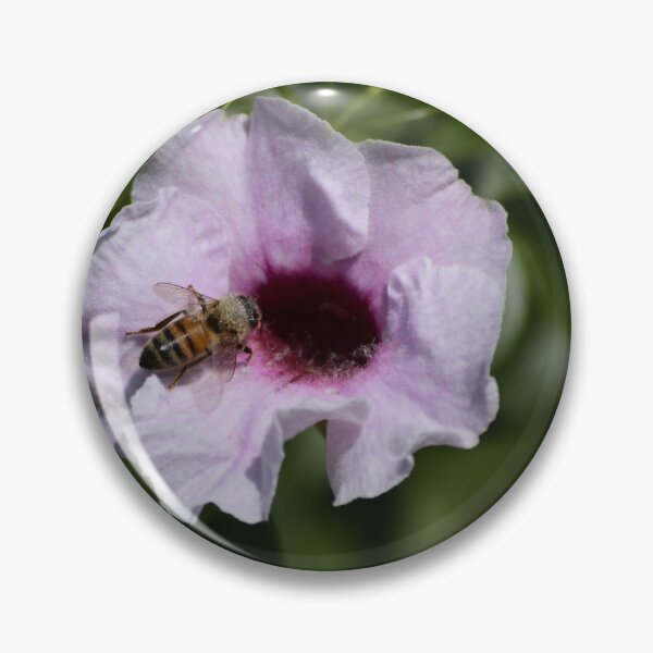 Item preview, Bee on Pink Flower designed and sold by MercerImages.