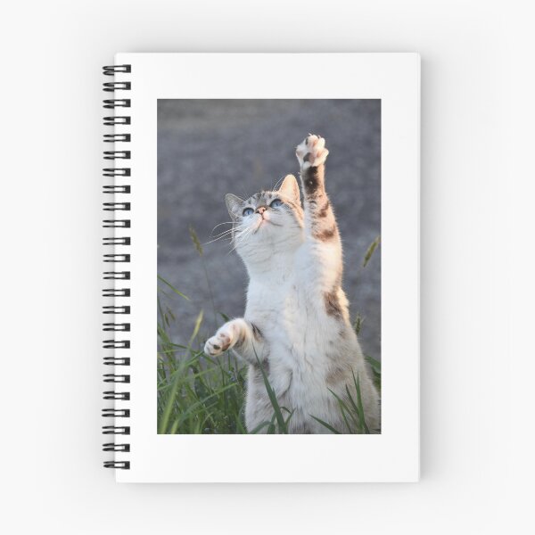 Item preview, Cat designed and sold by LatiendaShop.