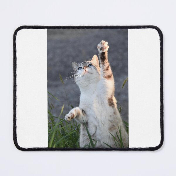 Item preview, Cat designed and sold by LatiendaShop.