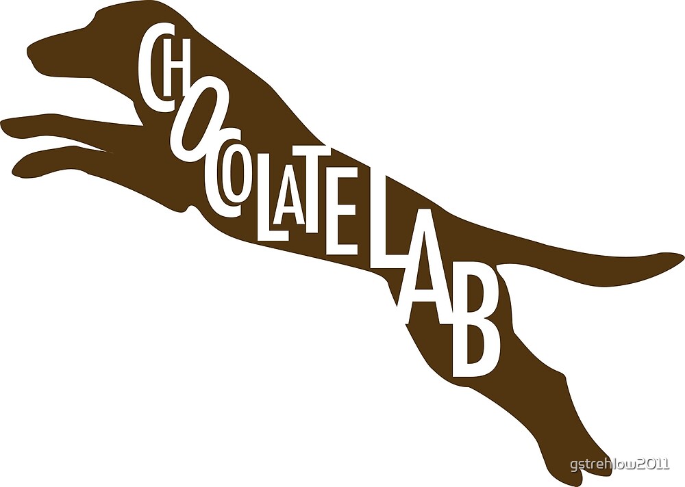 "Jumping Chocolate Lab" by gstrehlow2011 Redbubble