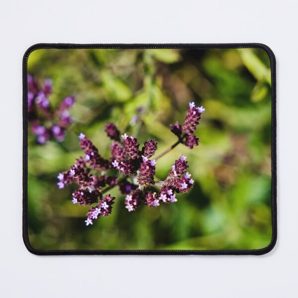 Item preview, Small purple flower in the Javanese meadow designed and sold by franck380.