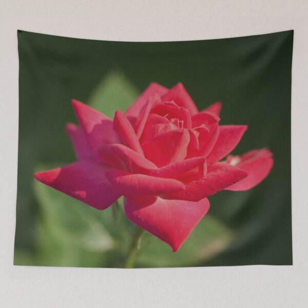 Item preview, Pink miniature rose designed and sold by Production Art Manon Meilleur.