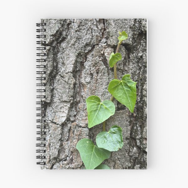 Item preview, English Ivy designed and sold by PariSeine.