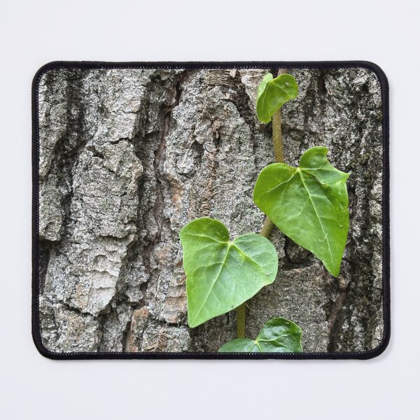 Item preview, English Ivy designed and sold by PariSeine.