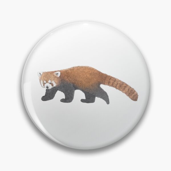 Item preview, Red Panda Wildlife Illustration designed and sold by Lauren Fitton Illustration.