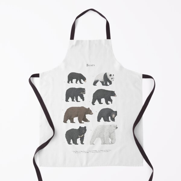 Item preview, Bear Species Wildlife Collection Illustration designed and sold by Lauren Fitton Illustration.