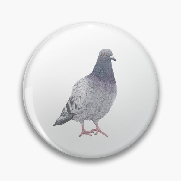 Artikelvorschau, Taube Vogel Wildlife Natur Illustration entworfen und verkauft von Lauren Fitton Illustration.