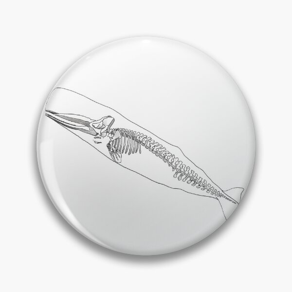 Item preview, Sperm Whale Skeleton designed and sold by RivendellBird.