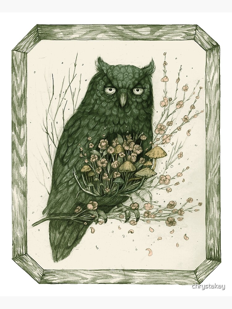 Messenger || Surreal Owl Nature Illustration by chrystakay