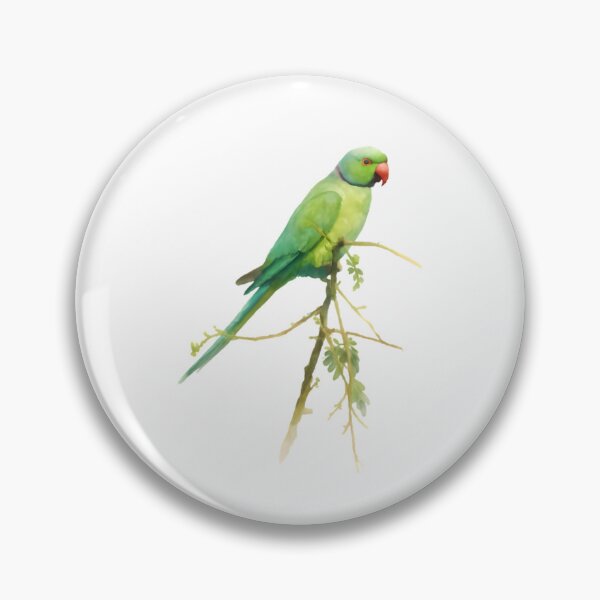 Item preview, Rose-ringed Parakeet (Psittacula krameri) designed and sold by HOMETOWN86.
