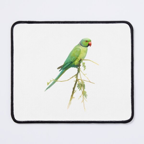 Item preview, Rose-ringed Parakeet (Psittacula krameri) designed and sold by HOMETOWN86.