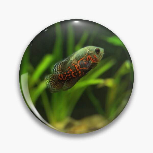 Item preview, Something Fishy! designed and sold by NS22 fashions.